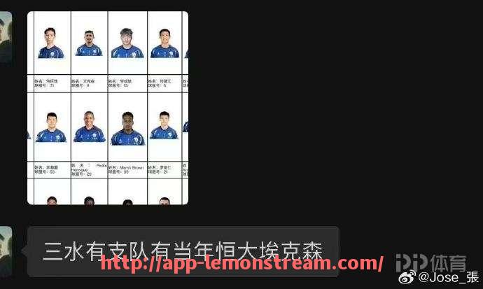柠檬体育直播-包含德甲哪些球队踢球风格被认为比较“脏”？的词条